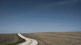 2024旗舰手机终极横评