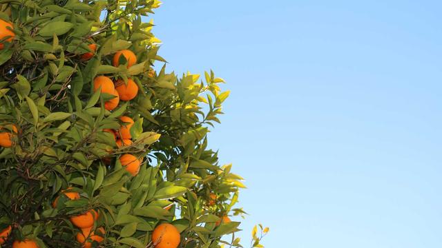 城市边缘的独白 - 微电影